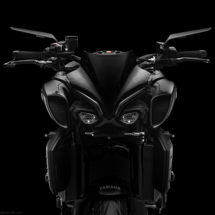  BMW / M1000R / 2025