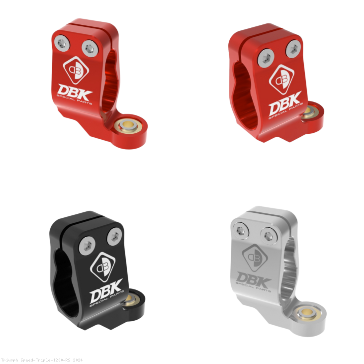  Triumph / Speed Triple 1200 RS / 2024