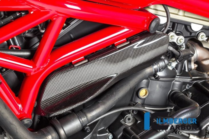 Carbon Fiber LEFT side under frame cover by Ilmberger Carbon Ducati / Monster 821 / 2019