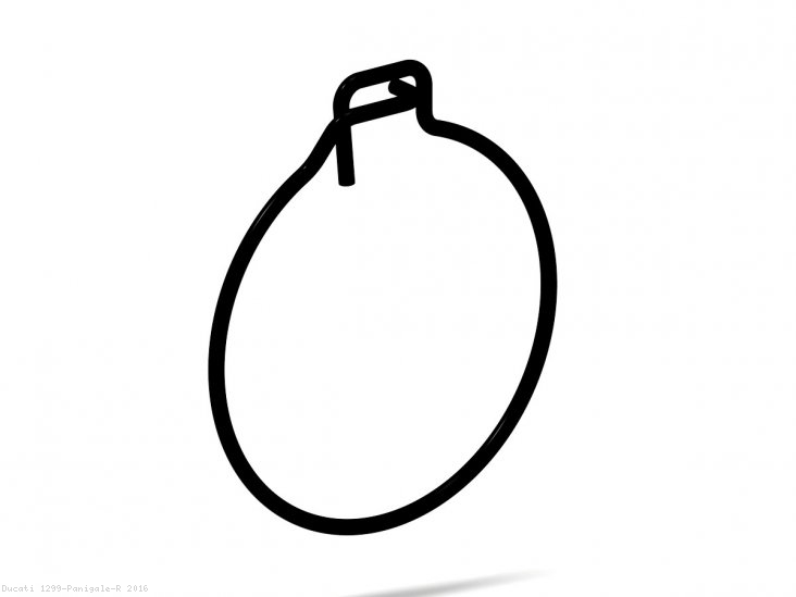  Ducati / 1299 Panigale R / 2016