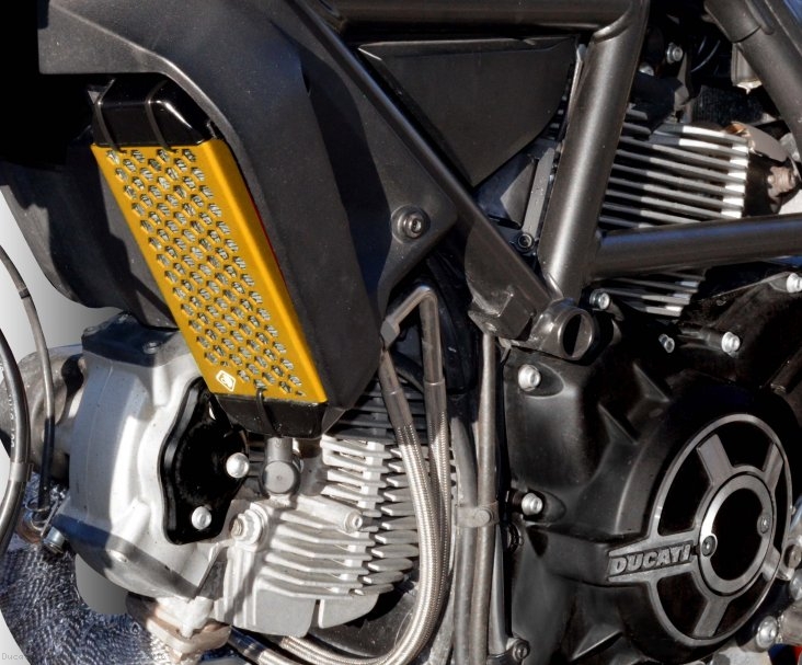 Aluminum Oil Cooler Guard by Ducabike Ducati / Scrambler 800 Icon / 2016