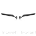  Triumph / Trident 660 / 2020