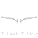  Triumph / Trident 660 / 2020