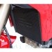 Radiator Guard by Evotech Performance Ducati / Multistrada 1200 / 2013