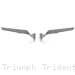  Triumph / Trident 660 / 2020