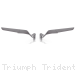  Triumph / Trident 660 / 2021