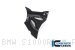 Carbon Fiber Sprocket Cover by Ilmberger Carbon BMW / S1000RR M Package / 2020