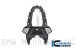 Carbon Fiber 2 Person Rear Seat Upper Tail by Ilmberger Carbon BMW / M1000RR / 2021