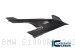 Carbon Fiber Right Side Panel by Ilmberger Carbon BMW / S1000RR / 2021