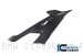 Carbon Fiber Right Side Panel by Ilmberger Carbon BMW / S1000RR M Package / 2020