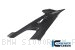 Carbon Fiber Right Side Panel by Ilmberger Carbon BMW / S1000RR M Package / 2022