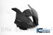 Carbon Fiber RACING VERSION Nose and Fairing Body Kit by Ilmberger Carbon BMW / S1000RR M Package / 2021