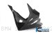 Carbon Fiber RACE VERSION Bellypan by Ilmberger Carbon BMW / S1000RR / 2020