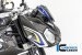 Carbon Fiber Front Fairing by Ilmberger Carbon BMW / S1000R / 2020