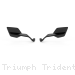  Triumph / Trident 660 / 2024