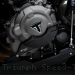 Triumph Speed Triple 1200 Billet Aluminum Engine Case Savers by Bonamici CP131 Triumph / Speed Triple 1200 RS / 2025