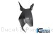 Carbon Fiber Swingarm Cover by Ilmberger Carbon Ducati / Panigale V2 / 2024