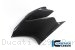 Carbon Fiber Left Side Fairing Panel by Ilmberger Carbon Ducati / 1299 Panigale / 2015