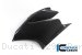 Carbon Fiber Left Side Fairing Panel by Ilmberger Carbon Ducati / 1299 Panigale R / 2016