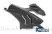 Carbon Fiber Fairing Side Panel by Ilmberger Carbon Ducati / Panigale V4 / 2021