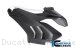 Carbon Fiber Fairing Side Panel by Ilmberger Carbon Ducati / Panigale V4 / 2020