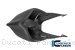 Carbon Fiber RACE VERSION Solo Seat Tail by Ilmberger Carbon Ducati / Panigale V4 / 2019
