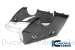 Carbon Fiber Bellypan by Ilmberger Carbon Ducati / Panigale V4 / 2019