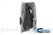 Carbon Fiber Bellypan by Ilmberger Carbon Ducati / Panigale V4 R / 2020