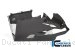 Carbon Fiber Bellypan by Ilmberger Carbon Ducati / Panigale V4 R / 2020