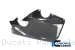 Carbon Fiber RACE VERSION Bellypan by Ilmberger Carbon Ducati / Panigale V4 S / 2020