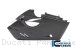 Carbon Fiber Bellypan by Ilmberger Carbon Ducati / Panigale V4 Speciale / 2019