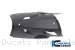 Carbon Fiber Bellypan by Ilmberger Carbon Ducati / Panigale V4 R / 2019