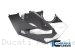 Carbon Fiber Bellypan by Ilmberger Carbon Ducati / Panigale V4 S / 2018