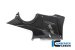 Carbon Fiber RIGHT SIDE bellypan by Ilmberger Carbon