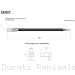  Ducati / Panigale V4 S / 2019