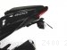Tail Tidy Fender Eliminator by Evotech Performance Kawasaki / Z400 / 2024