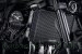 Radiator Guard by Evotech Performance Kawasaki / Z900RS / 2019