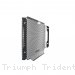  Triumph / Trident 660 / 2025