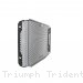  Triumph / Trident 660 / 2022