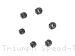  Triumph / Speed Twin 1200 / 2024