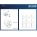  Triumph / Speed Triple 1200 RR / 2022