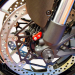  Ducati / Scrambler 800 Full Throttle / 2024