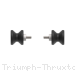  Triumph / Thruxton RS 1200 / 202