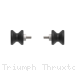  Triumph / Thruxton RS 1200 / 2020