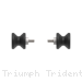  Triumph / Trident 660 / 2021