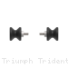  Triumph / Trident 660 / 2024