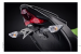 Tail Tidy Fender Eliminator by Evotech Performance Kawasaki / Ninja ZX-6R 636 / 2019