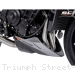  Triumph / Street Triple R 765 / 2023