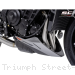  Triumph / Street Triple R 765 / 2025