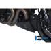 Carbon Fiber Bellypan by Ilmberger Carbon